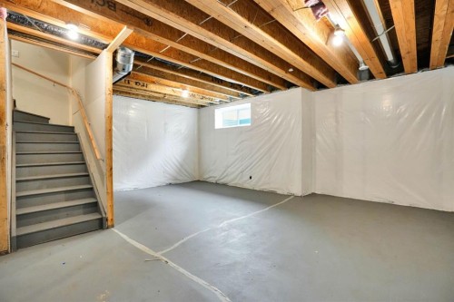159 Hotchkiss Manor Se, Calgary, AB - Indoor Photo Showing Basement