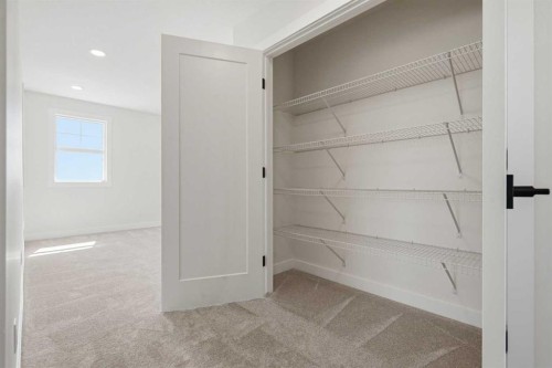 319 Kinniburgh Loop, Chestermere, AB - Indoor With Storage