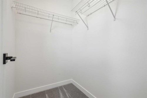 319 Kinniburgh Loop, Chestermere, AB - Indoor With Storage