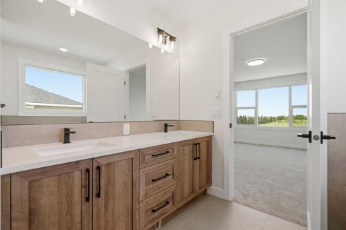 319 Kinniburgh Loop, Chestermere, AB - Indoor Photo Showing Bathroom