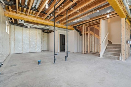 319 Kinniburgh Loop, Chestermere, AB - Indoor Photo Showing Basement
