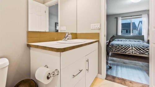 245 Cityscape Boulevard Ne, Calgary, AB - Indoor Photo Showing Bathroom