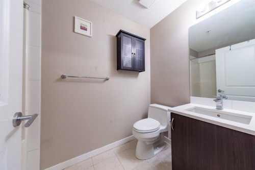 116-100 Cranfield Common Se, Calgary, AB - Indoor Photo Showing Bathroom