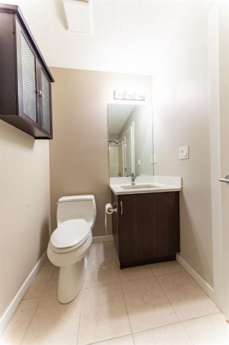 116-100 Cranfield Common Se, Calgary, AB - Indoor Photo Showing Bathroom