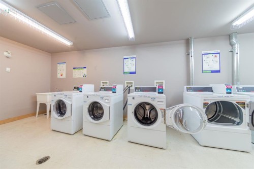 116-100 Cranfield Common Se, Calgary, AB - Indoor Photo Showing Laundry Room