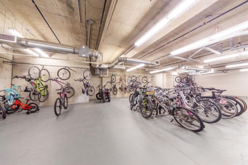 116-100 Cranfield Common Se, Calgary, AB - Indoor Photo Showing Garage