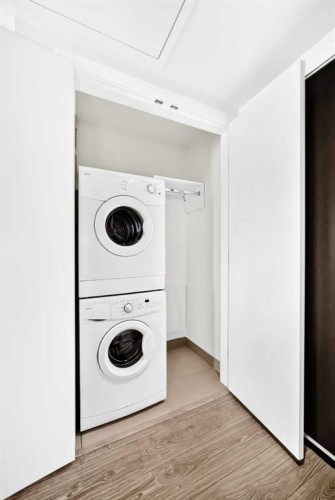 2908-1122 3 Street Se, Calgary, AB - Indoor Photo Showing Laundry Room
