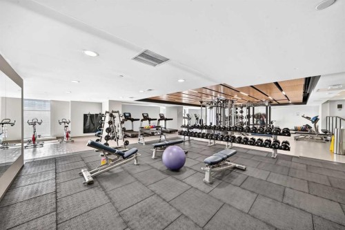2908-1122 3 Street Se, Calgary, AB - Indoor Photo Showing Gym Room