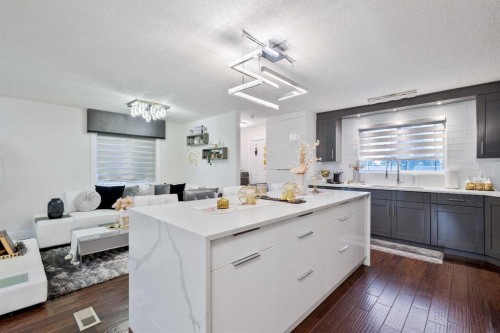 124 Whiteside Crescent Ne, Calgary, AB - Indoor Photo Showing Kitchen With Upgraded Kitchen