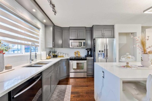 124 Whiteside Crescent Ne, Calgary, AB - Indoor Photo Showing Kitchen With Double Sink With Upgraded Kitchen