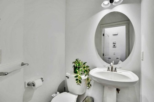 31 Skyview Shores Gardens Ne, Calgary, AB - Indoor Photo Showing Bathroom