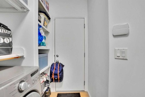 31 Skyview Shores Gardens Ne, Calgary, AB - Indoor Photo Showing Laundry Room