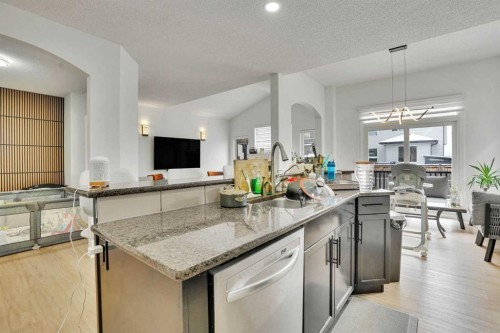 31 Skyview Shores Gardens Ne, Calgary, AB - Indoor Photo Showing Kitchen With Double Sink