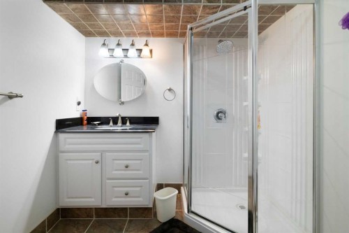 100 Dovista Court Se, Calgary, AB - Indoor Photo Showing Bathroom