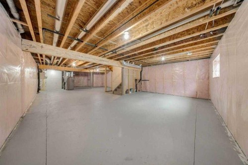 82 Belvedere Green Se, Calgary, AB - Indoor Photo Showing Basement
