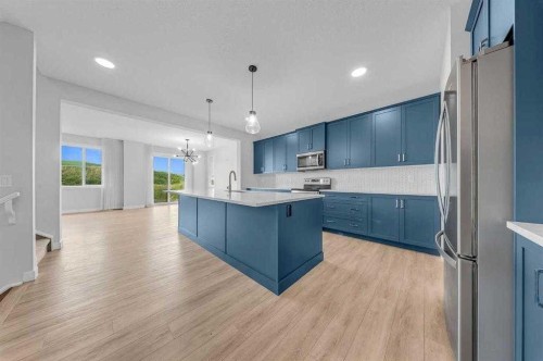 82 Belvedere Green Se, Calgary, AB - Indoor Photo Showing Kitchen With Stainless Steel Kitchen With Upgraded Kitchen