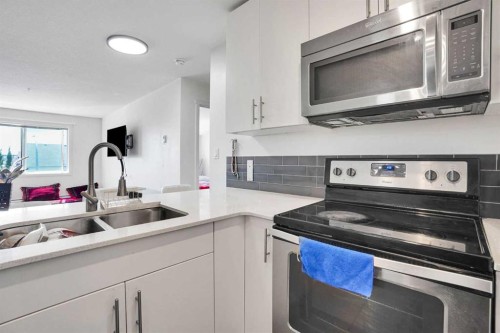 1312-181 Skyview Ranch Manor Ne, Calgary, AB - Indoor Photo Showing Kitchen With Double Sink