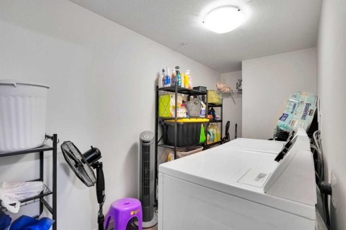 1312-181 Skyview Ranch Manor Ne, Calgary, AB - Indoor Photo Showing Laundry Room