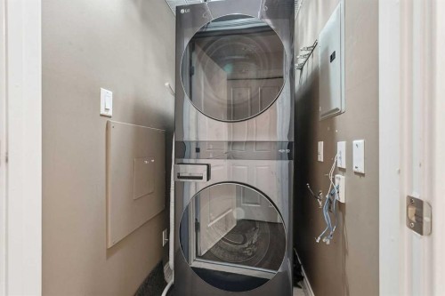 305-532 5 Avenue Ne, Calgary, AB - Indoor Photo Showing Laundry Room