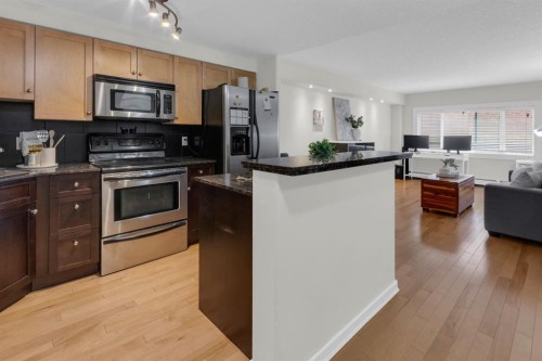 204-728 3 Avenue Nw, Calgary, AB - Indoor Photo Showing Kitchen