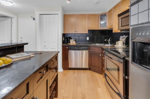 204-728 3 Avenue Nw, Calgary, AB - Indoor Photo Showing Kitchen