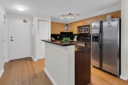 204-728 3 Avenue Nw, Calgary, AB - Indoor Photo Showing Kitchen