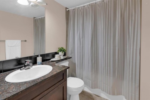 204-728 3 Avenue Nw, Calgary, AB - Indoor Photo Showing Bathroom