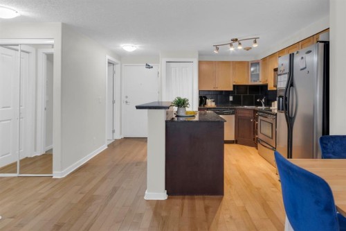 204-728 3 Avenue Nw, Calgary, AB - Indoor Photo Showing Kitchen