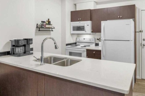 1108-73 Erin Woods Court SE Calgary, AB T2B 3V2