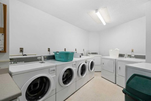 607-8948 Elbow Drive Sw, Calgary, AB - Indoor Photo Showing Laundry Room