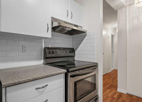 607-8948 Elbow Drive Sw, Calgary, AB - Indoor Photo Showing Kitchen