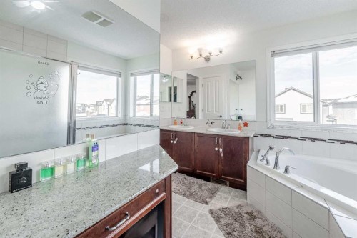482 Skyview Ranch Way Ne, Calgary, AB - Indoor Photo Showing Bathroom