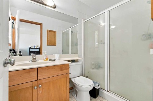 162 Taradale Drive Ne, Calgary, AB - Indoor Photo Showing Bathroom