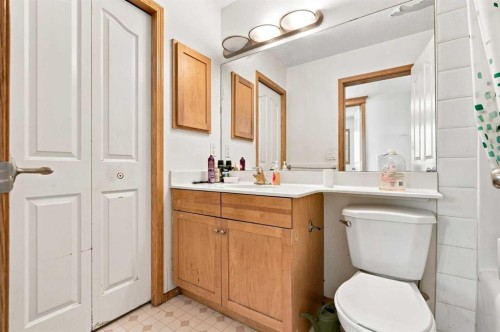 162 Taradale Drive Ne, Calgary, AB - Indoor Photo Showing Bathroom
