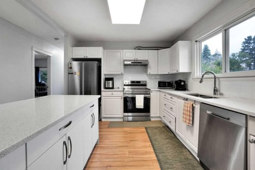 2003 62 Avenue Se, Calgary, AB - Indoor Photo Showing Kitchen With Double Sink