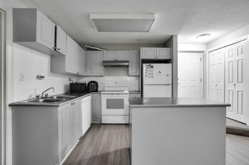 2003 62 Avenue Se, Calgary, AB - Indoor Photo Showing Kitchen With Double Sink