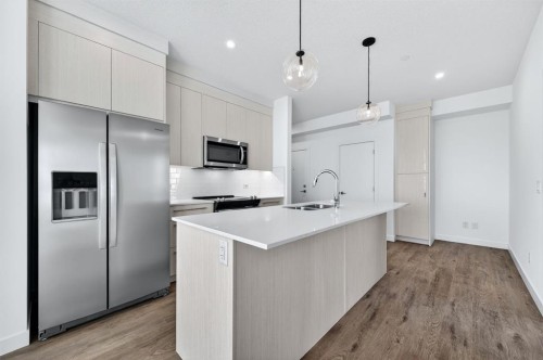 1305-44 Skyview Parkway Ne, Calgary, AB - Indoor Photo Showing Kitchen With Upgraded Kitchen