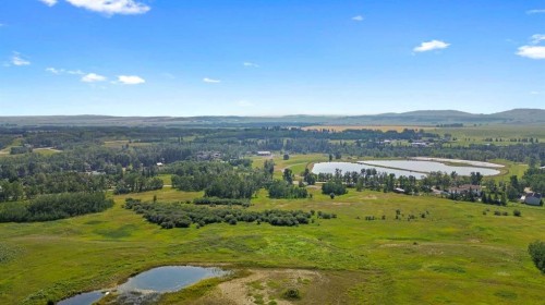 329 Flare Avenue Sw, Diamond Valley, AB - Outdoor With View