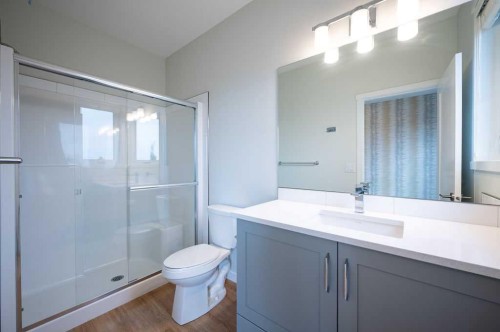 84 Shawnee Common Sw, Calgary, AB - Indoor Photo Showing Bathroom