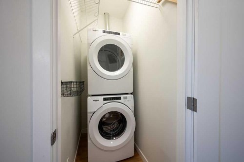 84 Shawnee Common Sw, Calgary, AB - Indoor Photo Showing Laundry Room