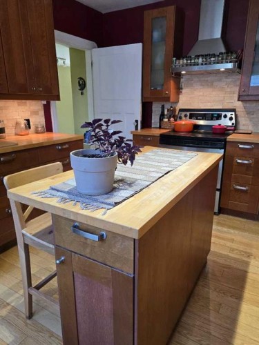 1536 23 Avenue Nw, Calgary, AB - Indoor Photo Showing Kitchen