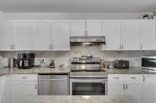 192 Martin Crossing Crescent Ne, Calgary, AB - Indoor Photo Showing Kitchen With Upgraded Kitchen