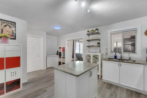 192 Martin Crossing Crescent Ne, Calgary, AB - Indoor Photo Showing Kitchen With Double Sink
