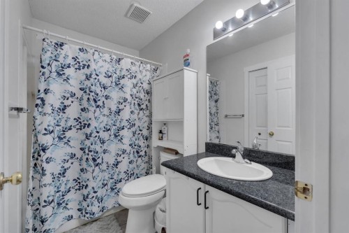 192 Martin Crossing Crescent Ne, Calgary, AB - Indoor Photo Showing Bathroom