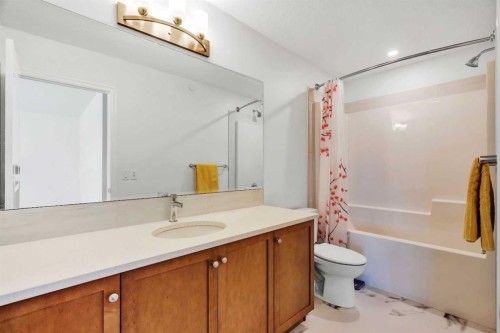 244 Lucas Way Nw, Calgary, AB - Indoor Photo Showing Bathroom