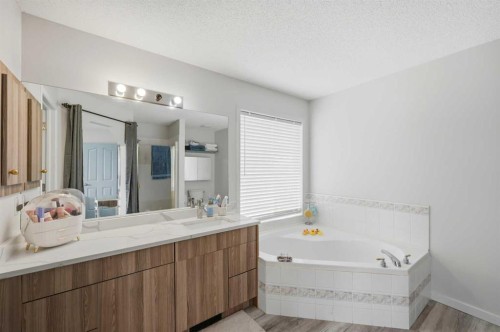 46 Citadel Meadow Crescent Nw, Calgary, AB - Indoor Photo Showing Bathroom
