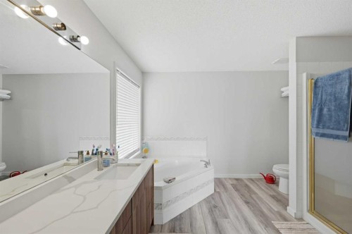 46 Citadel Meadow Crescent Nw, Calgary, AB - Indoor Photo Showing Bathroom