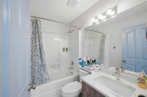 46 Citadel Meadow Crescent Nw, Calgary, AB - Indoor Photo Showing Bathroom