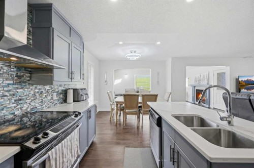46 Citadel Meadow Crescent Nw, Calgary, AB - Indoor Photo Showing Kitchen With Double Sink With Upgraded Kitchen