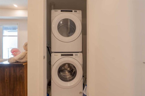 1207-681 Savanna Boulevard Ne, Calgary, AB - Indoor Photo Showing Laundry Room